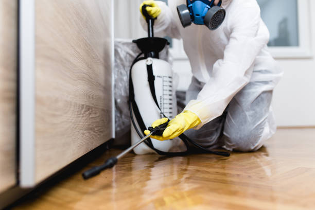 Best Local Pest Control Services  in Pendleton, OR