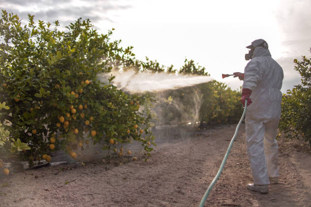 Professional Pest Control in Pendleton, OR