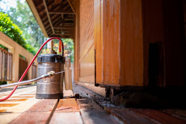 Best Rat Extermination Near Me  in Pendleton, OR