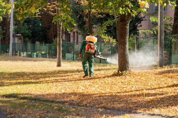 Wasp Removal Services in Pendleton, OR