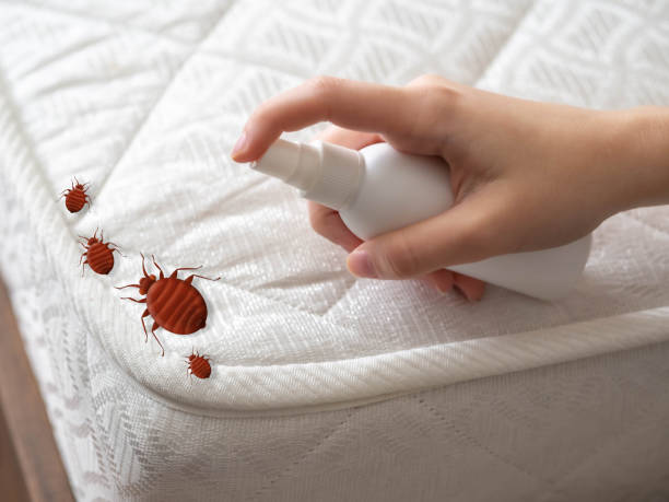Best Residential Pest Control  in Pendleton, OR