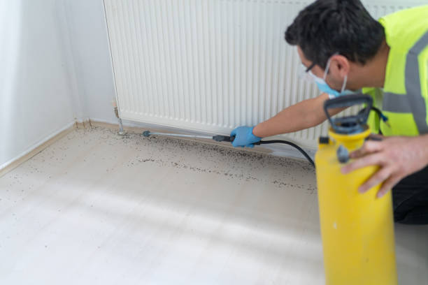 Best Affordable Exterminators  in Pendleton, OR