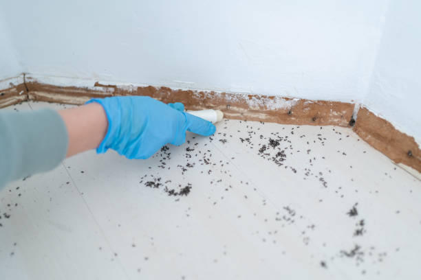 Pest Prevention Services in Pendleton, OR